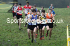 Boys under-15s, NECAA Junior Cross Country Relays, Thornley Farm, Peterlee, Saturday, December 12th. Photo: David T. Hewitson/Sports for All Pics